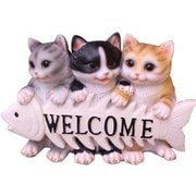CATボーンウェルカム 11527