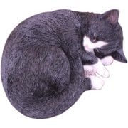 眠り猫 八割れ 12692