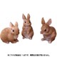ミニフレンドラビット 1点 12150