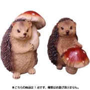 ハリネズミ きのこ 1点 12899