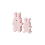 知育玩具 対象年齢 2歳～ cleanToy ウサギ ピンク