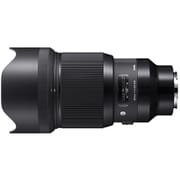 85mm F1.4 DG HSM (Art) SE [85mm/F1.4 ソニーEマウント Artライン]