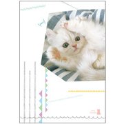 チームこねこ A5ノート 三角 CD03894