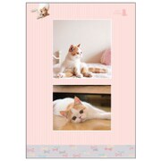 チームこねこ A5ノート リボン CD03895