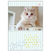 チームこねこ A5ノート 縞 CD03896