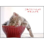 チームこねこ やることメモ カップ EM03038