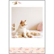 チームこねこ ポストカード リボン E15247