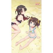 りゅうおうのおしごと！ マルチタペストリーのれん あい×天衣 水着 [キャラクターグッズ]