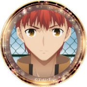 劇場版 Fate/stay night Heaven's Feel ポリカバッジ vol.3 衛宮士郎 [キャラクターグッズ]