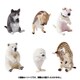 ANIMAL LIFE Baby Hug 1個 [コレクショントイ]
