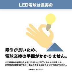 ヨドバシ.com - ヤザワ Yazawa LDG4NG70 [G70ボール形LED 40W相当 E26