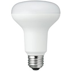R80レフ形LED 昼白色 調光対応 LDR10NHD2