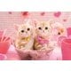 25-164 ねこ ももいろにゃんこ [ジグソーパズル めざせ！パズルの達人 300ピース （完成サイズ：26×38cm）]