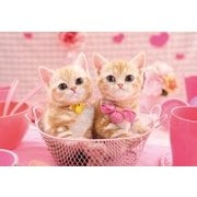 25-164 ねこ ももいろにゃんこ [ジグソーパズル めざせ！パズルの達人 300ピース （完成サイズ：26×38cm）]