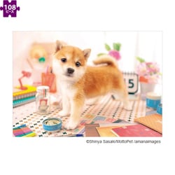 01-065 いぬ あそぼうよ！ [ジグソーパズル 108ピース （完成サイズ：18.2×25.7cm）]
