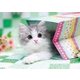 01-066 [ジグソーパズル ひょこっ 108ピース]