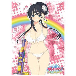 ヨドバシ.com - エンスカイ ensky キャラクタースリーブ 閃乱カグラ