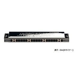 複音ハーモニカ 高級ハミング/Dm SU-21W Dm