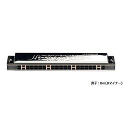 複音ハーモニカ 高級ハミング/Bm SU-21W Bm