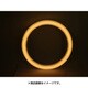 電球色 サークラインFCL30W用LED AL-CT-14WL-TM