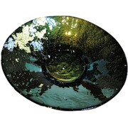 サラダボウル マジョ金箔グリーン