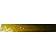 短冊プレート マジョ金箔グリーン