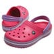 crocband パラダイスピンク/アイリス M6 [クロックバンド 24cm M6/W8]