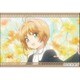カードキャプターさくら クリアカード編 スクエアマグネット 木之本 桜 A [キャラクターグッズ]
