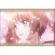 カードキャプターさくら クリアカード編 スクエアマグネット 木之本 桜 C [キャラクターグッズ]