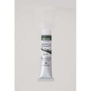 水性アルキド樹脂絵具 Aqyla（アキーラ） 6号チューブ 20ml テールベルト
