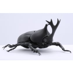 ヨドバシ Com フジミ模型 Fujimi いきもの編 カブトムシ 自由研究シリーズ No 21 通販 全品無料配達 ヨドバシ Com フジミ模型 Fujimi いきもの編 カブトムシ 自由研究シリーズ No 21 通販 全品無料配達
