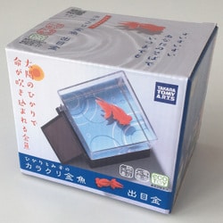 【新品】ひかりとみずのカラクリ金魚 琉金 タカラトミー 新品 Amazon | ひかりとみずのカラクリ金魚 琉金 | 太陽・ソーラー