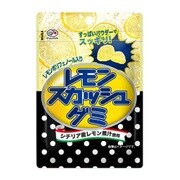レモンスカッシュグミ 40g