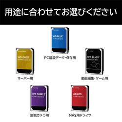 ヨドバシ.com - ウエスタンデジタル Western Digital WD4003FFBX [WD