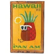 ヴィンテージ看板 PAN AM 4BXP5634