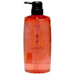 イオリコミント クレンジング 600ml ポンプ