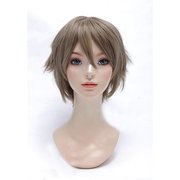 コスペディアウィッグ ツンツンショート マットシルバー