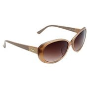 L804SA 264 [LACOSTE サングラス]