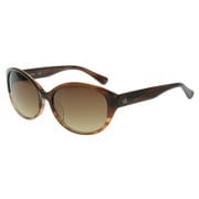 CK4304SA 202 [Calvin Klein サングラス]