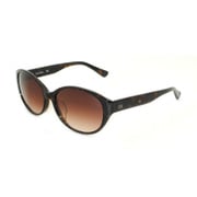 CK4304SA 214 [Calvin Klein サングラス]