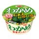 わかめ 野菜タンメン 76g