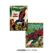 MARVEL A4クリアファイル スパイダーマン [キャラクターグッズ]