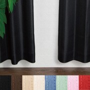 ステップLight カーテン BK 100x200cm 2枚組