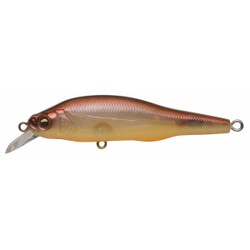 PROP DARTER 80（プロップダーター80） ITOサービス