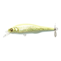 PROP DARTER 80（プロップダーター80） GG チャートバックバス