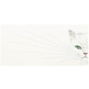 一筆箋 ひげ猫 ×Takaaki Enoki YKP90-3363