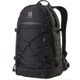 338500 2C5 [BACKUP 15 True black Haglofs バックパック ブラック 並行輸入品]