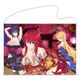 ハイスクールD×D HERO B2タペストリー リアス＆朱乃＆アーシア [縦約515×横約728mm]