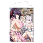 ハイスクールD×D HERO B2タペストリー 朱乃＆ロスヴァイセ [縦約728×横約515mm]