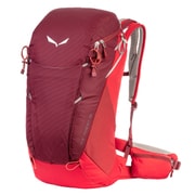 1230　1910OX BLOOD25L [ALP TRAINER 25]